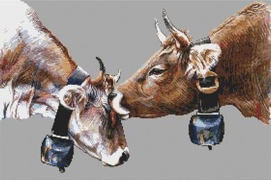 (image for) Two Cows